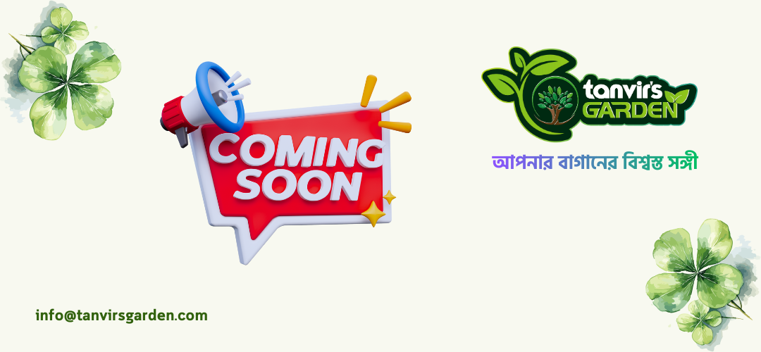 Beige and Green Clover Leaf Opening Soon Banner (4)